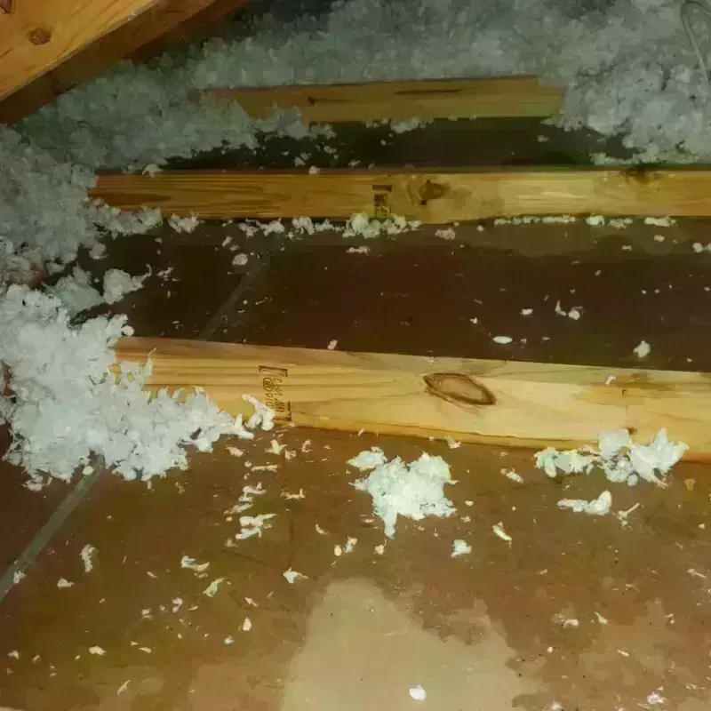 Attic Water Damage in Wilmington Island, GA